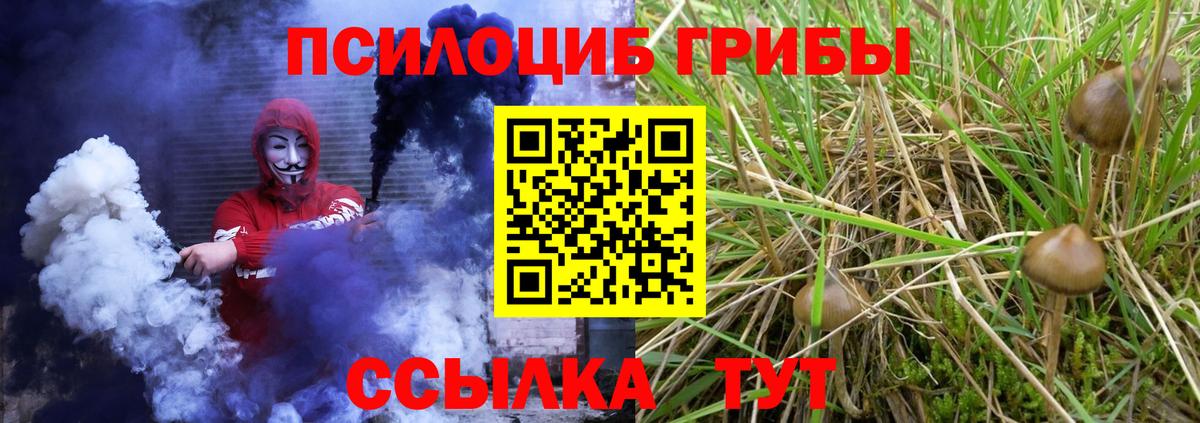 Псилоцибиновые грибы мицелий  закладки  Галлюциногенные грибы мицелий  Ачинск  Вход с VPN 