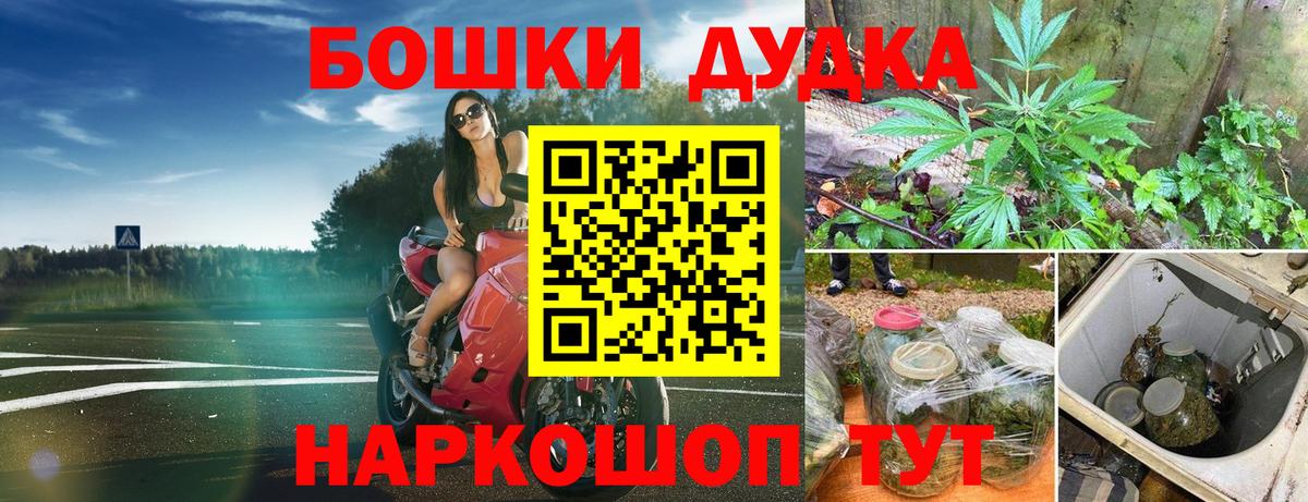 Конопля семена Ачинск